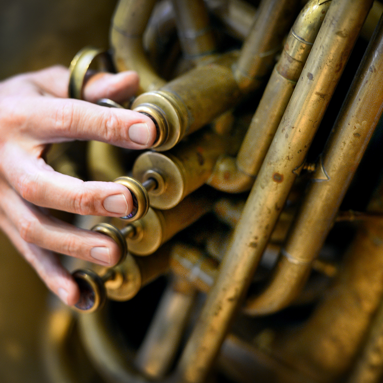 Musik för nyfikna –  Ädla metaller