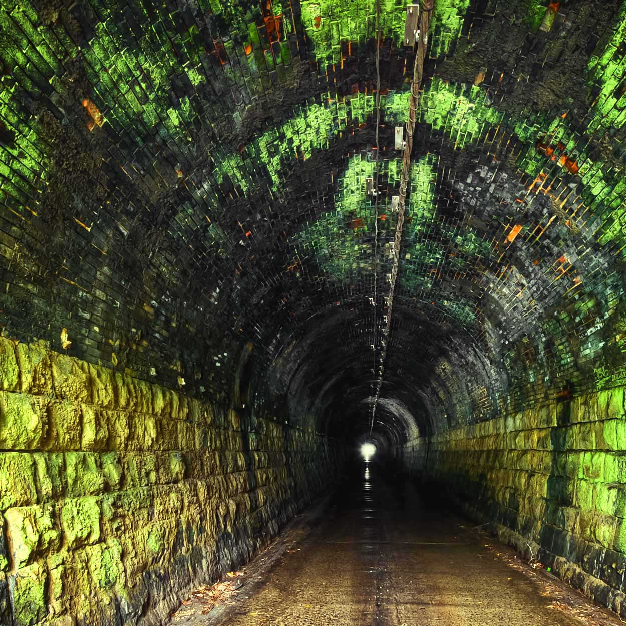 Musik för nyfikna - Ljuset i tunneln